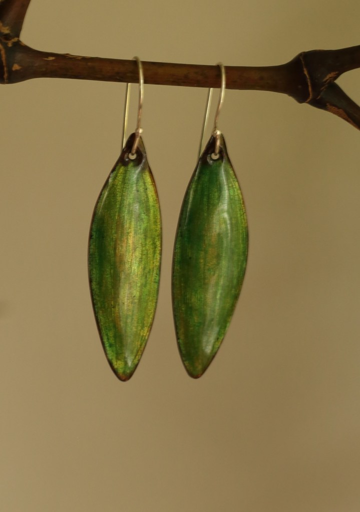 Kauri